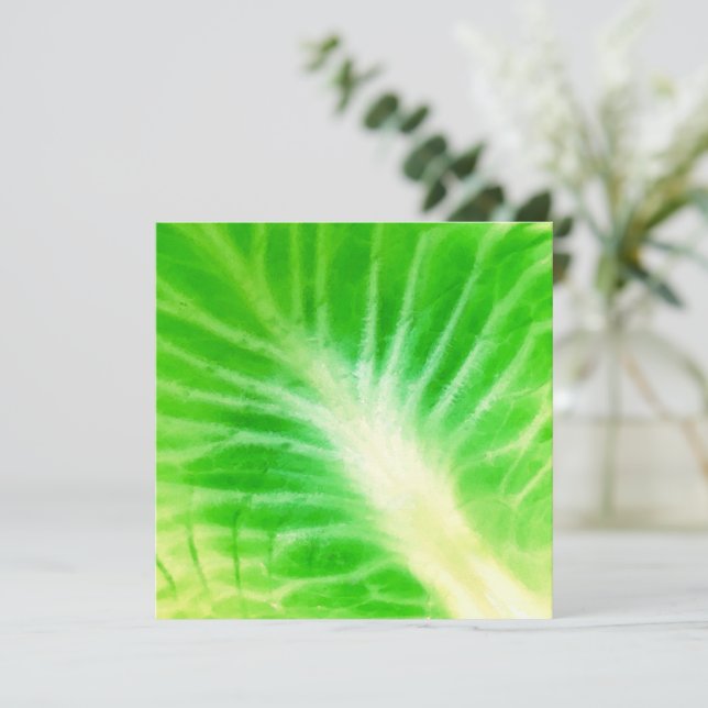Cabbage Leaf (Stehend Vorderseite)