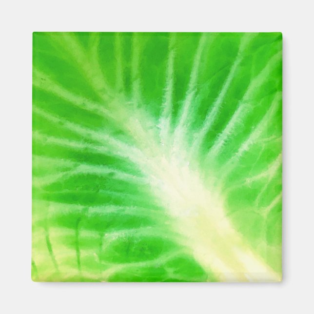 Cabbage Leaf Magnet (Vorne)
