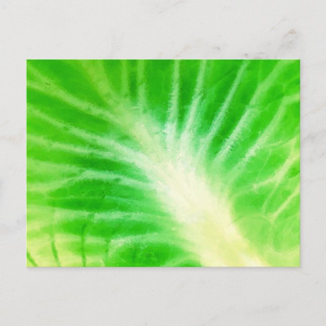 Cabbage Leaf Postkarte (Vorderseite)