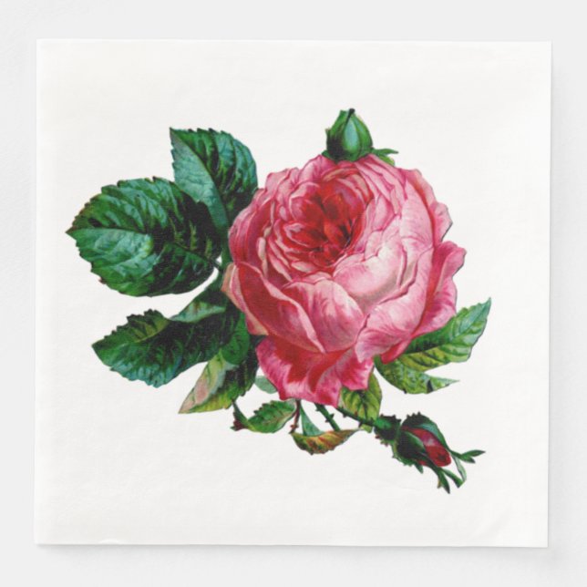 Cabbage Rose Paper Napkins Serviette (Vorderseite)