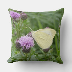 Cabbage White auf dem Lila Thistle Kissen