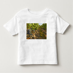 Cabernet Sauvignon in Folge Kleinkind T-shirt