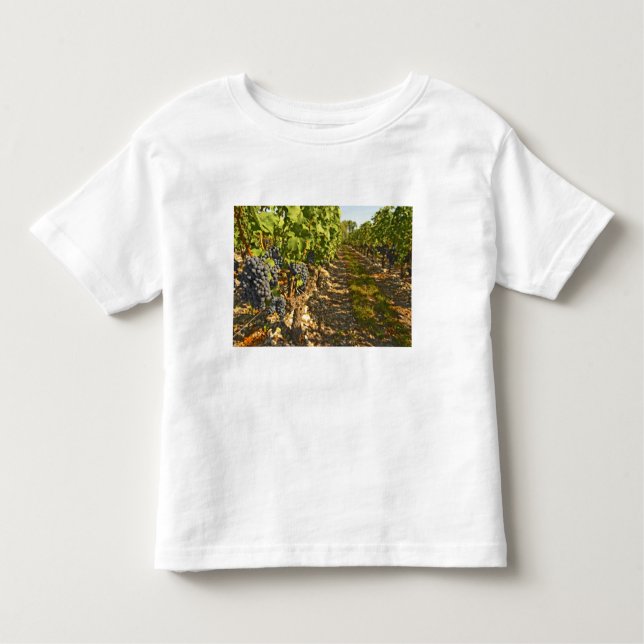 Cabernet Sauvignon in Folge Kleinkind T-shirt (Vorderseite)