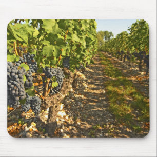 Cabernet Sauvignon in Folge Mousepad