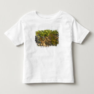 Cabernet-Sauvignon-Reben in einer Reihe in der Kleinkind T-shirt