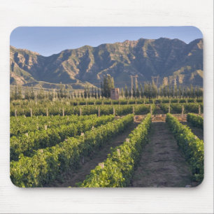 Cabernet-Sauvignon-Reben in Huailai Rongchen Mousepad