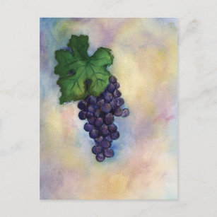 Cabernet Sauvignon Roter Wein Weintrauben Postkart Postkarte