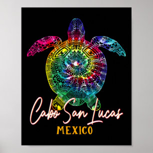 Cabo San Lucas Gefärbte Krawatte Sea Turtle Matchi Poster
