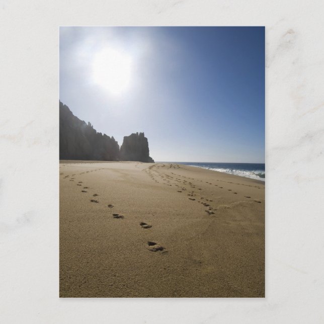 Cabo San Lucas Strand 3 Postkarte (Vorderseite)