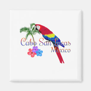 Cabo San Lucas Tropical Beach Magnet