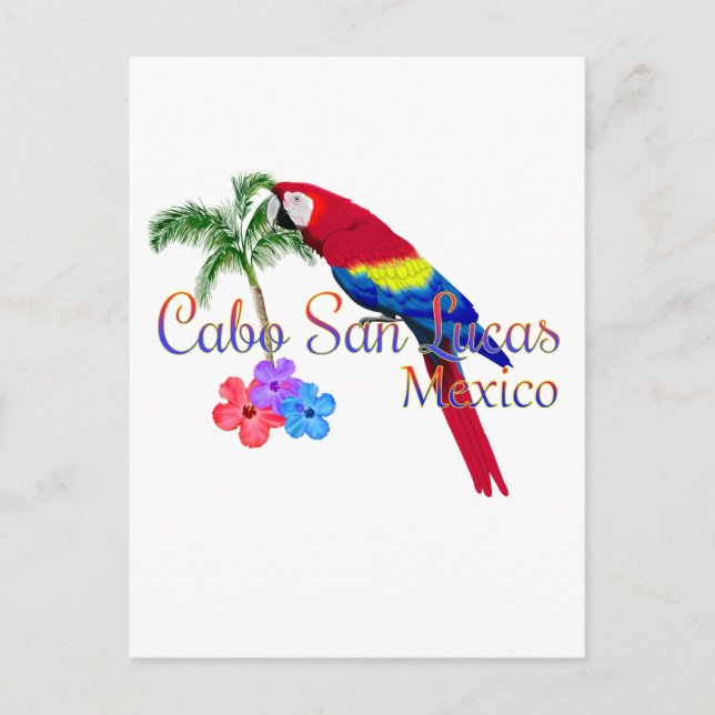 Cabo San Lucas Tropical Beach Postkarte (Vorderseite)