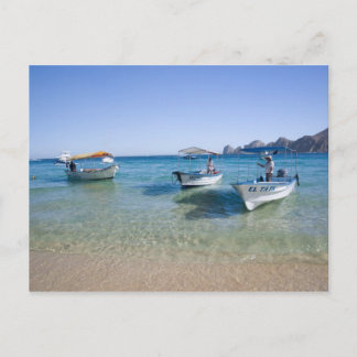 Cabo Water Taxis Postkarte