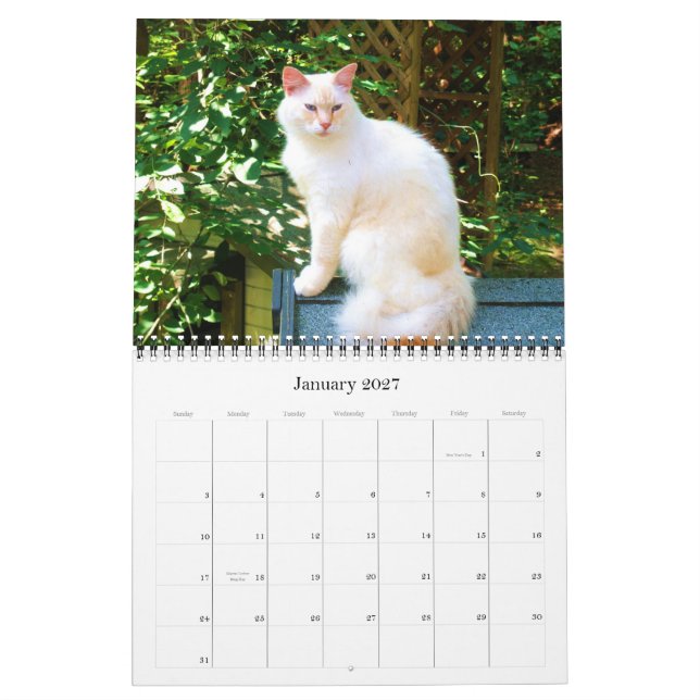 Caboodle-Kalender 2011 Kalender (Jan 2027)