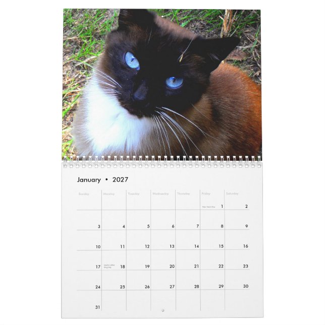 "Caboodle-Ranch-" Kalender (Jan 2027)