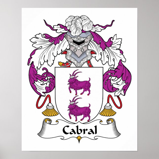 Cabral Familienwappen Poster (Vorne)