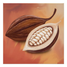 Cacao Pod