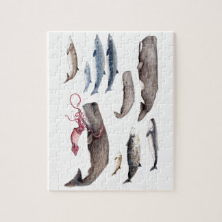 Cachalote und Zifios: Wale der Tiefen Puzzle