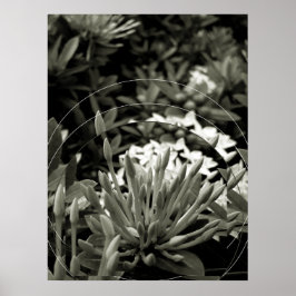 CAcho de Botões Poster