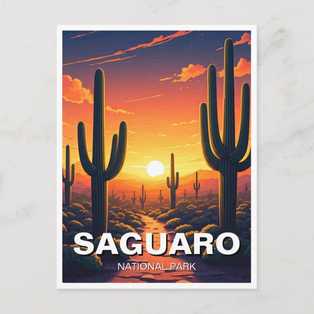 Cacti - Nationalpark Saguaro Postkarte (Vorderseite)