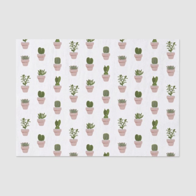 Cacti & Succulent - Rosa - transparent Seidenpapier (Vorderseite)