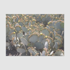 Cacti-Tissue-Papier Seidenpapier