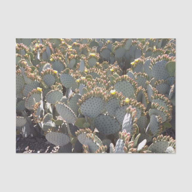 Cacti-Tissue-Papier Seidenpapier (Vorderseite)
