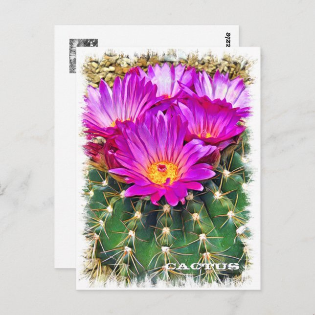Cactus ポストカード postkarte (Vorne/Hinten)