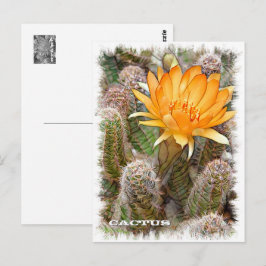 Cactus ポストカード postkarte