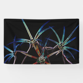 Cactus 1 bnrcnm banner