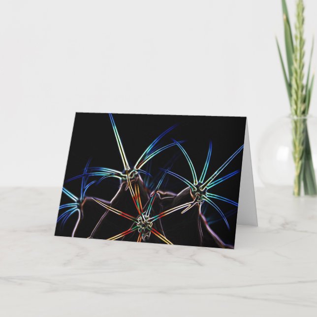 Cactus 1 gccnm karte (Vorderseite)