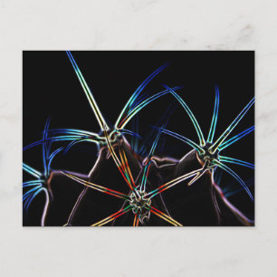 Cactus 1 pccnm postkarte