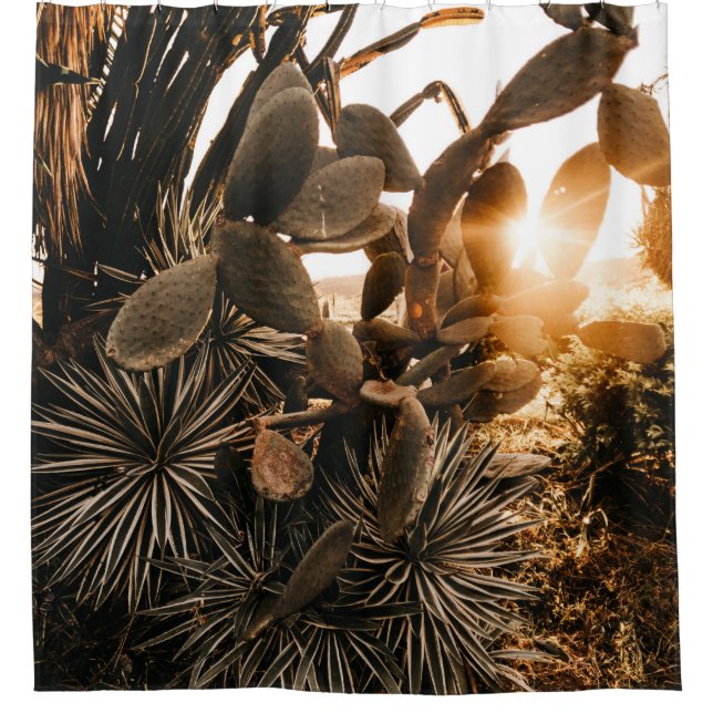 CACTUS AM MORGEN DUSCHVORHANG (Vorderseite)
