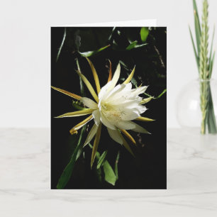 Cactus Bloom Card Karte