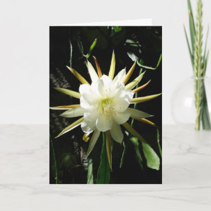 Cactus Bloom Card Karte