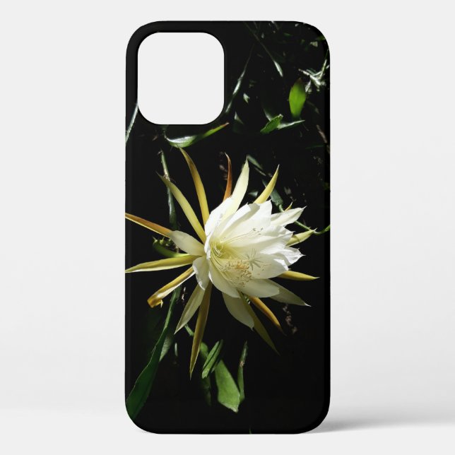 Cactus Bloom Case-Mate iPhone Hülle (Rückseite)
