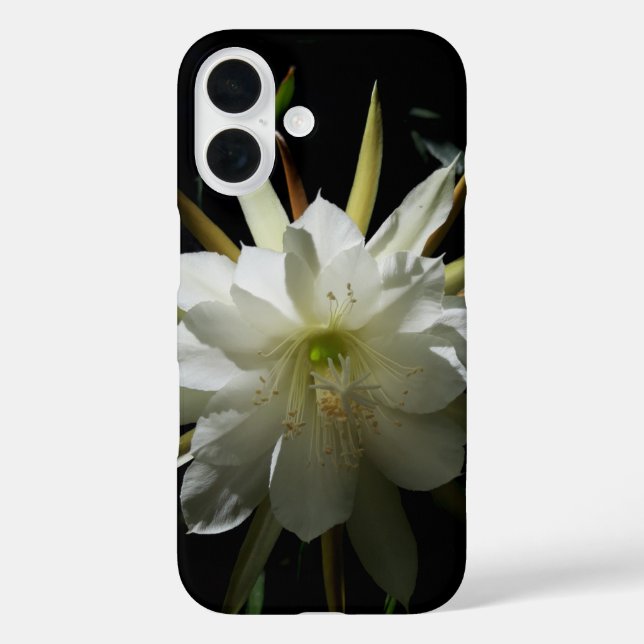 Cactus Bloom Case-Mate iPhone Hülle (Rückseite)