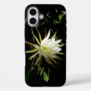 Cactus Bloom iPhone 16 Plus Hülle