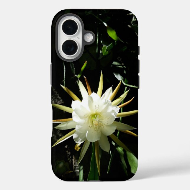 Cactus Bloom Case-Mate iPhone Hülle (Rückseite)