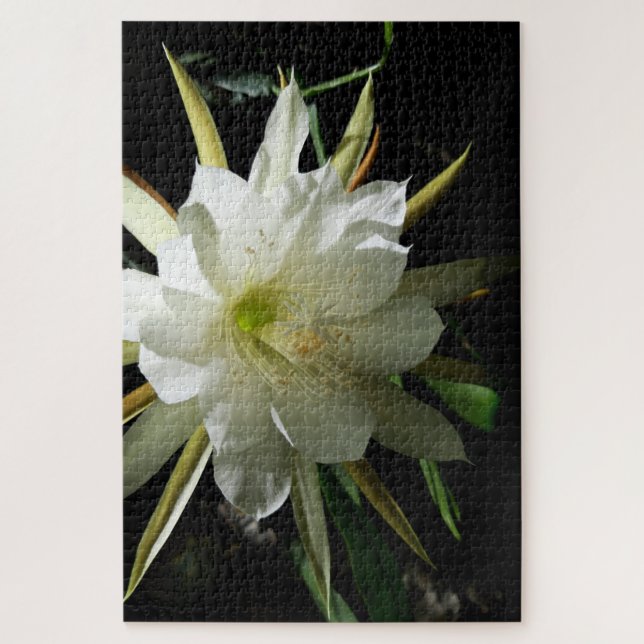 Cactus Bloom Puzzle (Vertikal)