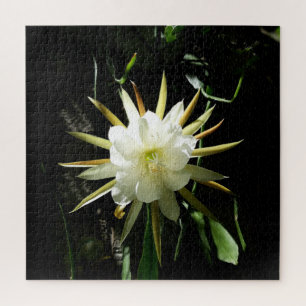 Cactus Bloom Puzzle
