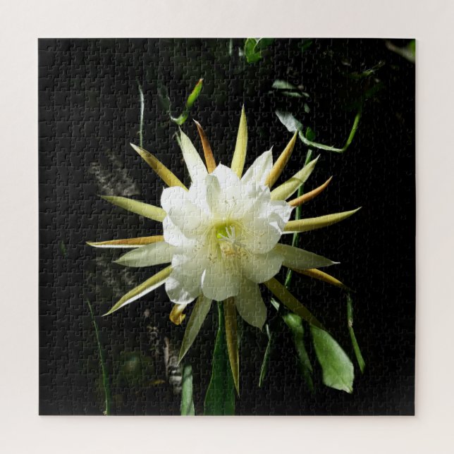 Cactus Bloom Puzzle (Vertikal)