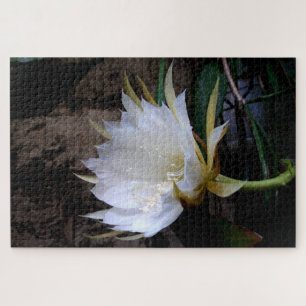 Cactus Bloom Puzzle