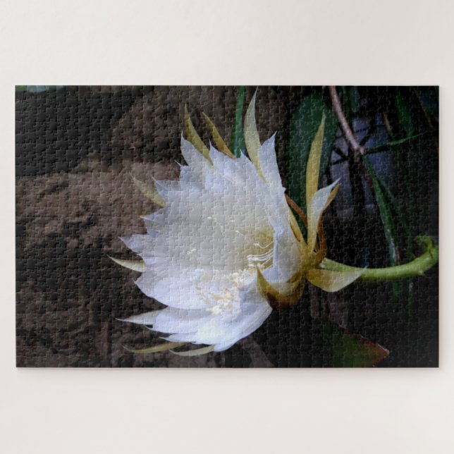 Cactus Bloom Puzzle (Horizontal)