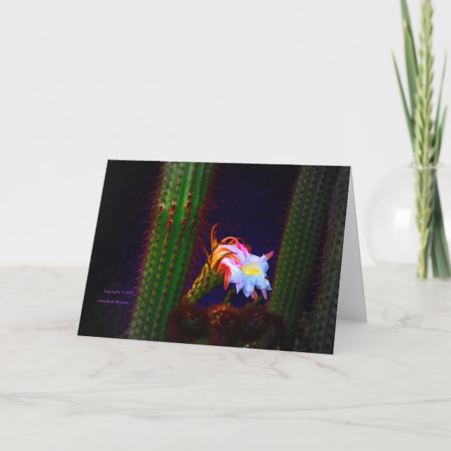 "Cactus Blume at Sunset #105" Karte (Vorderseite)
