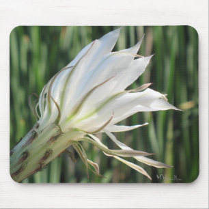 Cactus Blume Foto Mousepad
