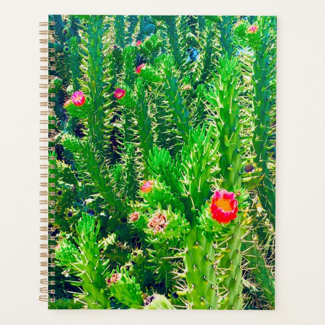 Cactus Blume Planner Planer (Vorderseite)