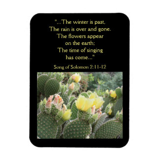 Cactus Blume Song von Solomon Magnet