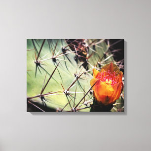 Cactus Blume Wrapped Canvas Leinwanddruck