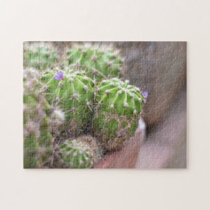 Cactus Cacti Blume Naturfotografie Garten Puzzle