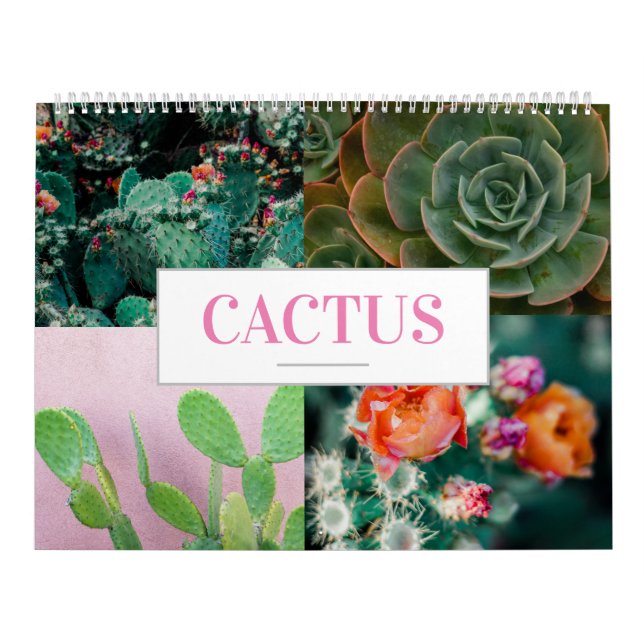 Cactus Calendar Nature Calendar Zuhause Wall Kalender (Titelbild)